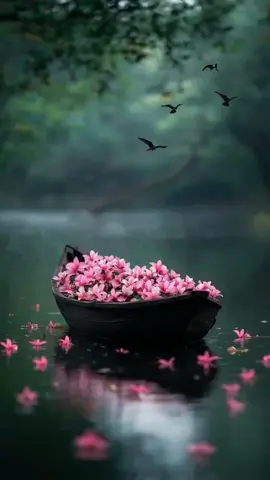 #fyp #fypage #اكسبلورexplore 