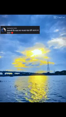 খুব বেশি পছন্দের মানুষের সাথে বেশি দিন সম্পর্ক থাকে না..!❤️‍🩹#CapCut #CapCut #CapCut 