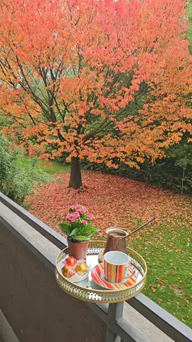 صباحكم خريفي 🍁🍁 #viralvideo #viral #foryoupage #foryou #fyp 
