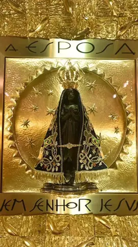 12 de outubro  Nossa senhora Aparecida  Rogai por Nós #catolico  #12deoutubro  #nossasenhoraaparecida  #jovemcatolico  #santuarionacionaldeaparecida 