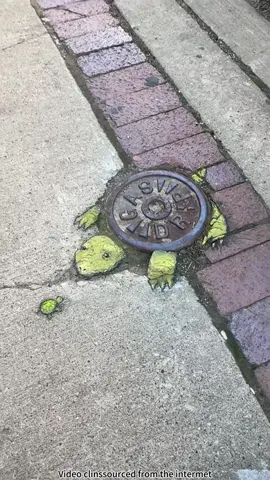 When the Streets Begin to Smile 🎨🧑‍🎨😊😊 #art #amazing #sidewalkchalk #streetart #beauty   