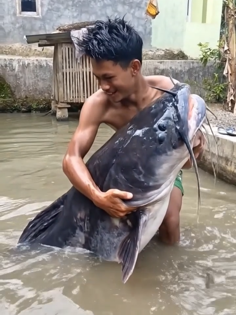 lalele babon nih #viral 