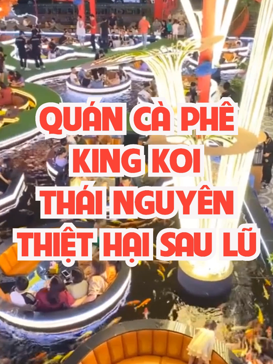 Quán cà phê King Koi Thái Nguyên thiệt hại sau lũ #saoviet #tintuc #shorts #lulut 