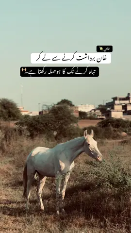 خان برداشت کرنے سے لے کر تباہ  کرنے تک کا ہوصلہ رکھتا ہے۔ . . . #fyp #reels 