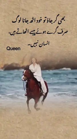 Queen 👑 #uae 🇦🇪 