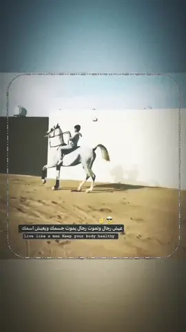 #خرب_مراجلكم🤌 #العفري 