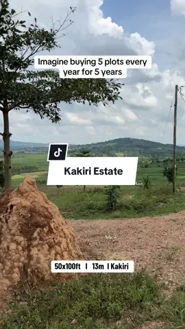 #realtordeogratias #realestate #landforsale 