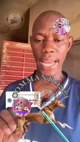 Titi mirou titi mirou😁🤠 #soninkara🇸🇳🇲🇱🇲🇷🇬🇲🇬🇳 #commando😂 #visibilité 