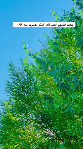 چنت اگللهم احب فلان ليش كسرت بيه 💔✨#تصويري📷 #عباراتكم_الفخمه📿📌 