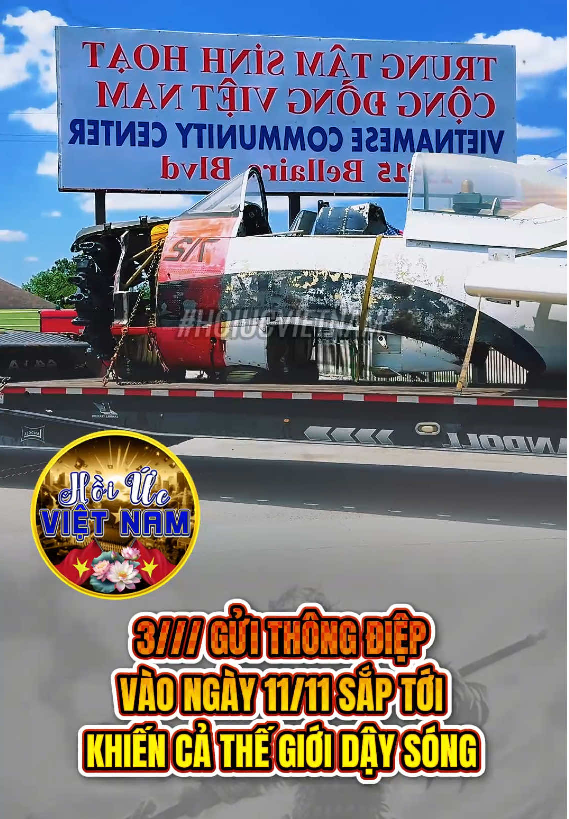 11/11 có gì hay #hoiucvietnam #viral #LearnOnTikTok #cali #vietnamconghoa