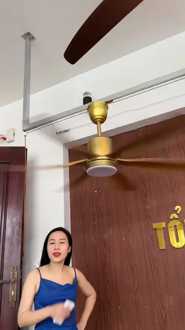 quạt 6 cánh vàng gold mát đỉnh.  #oanhoioanh  #noithatnhadep  #quat6canh #tongkhoquattran 