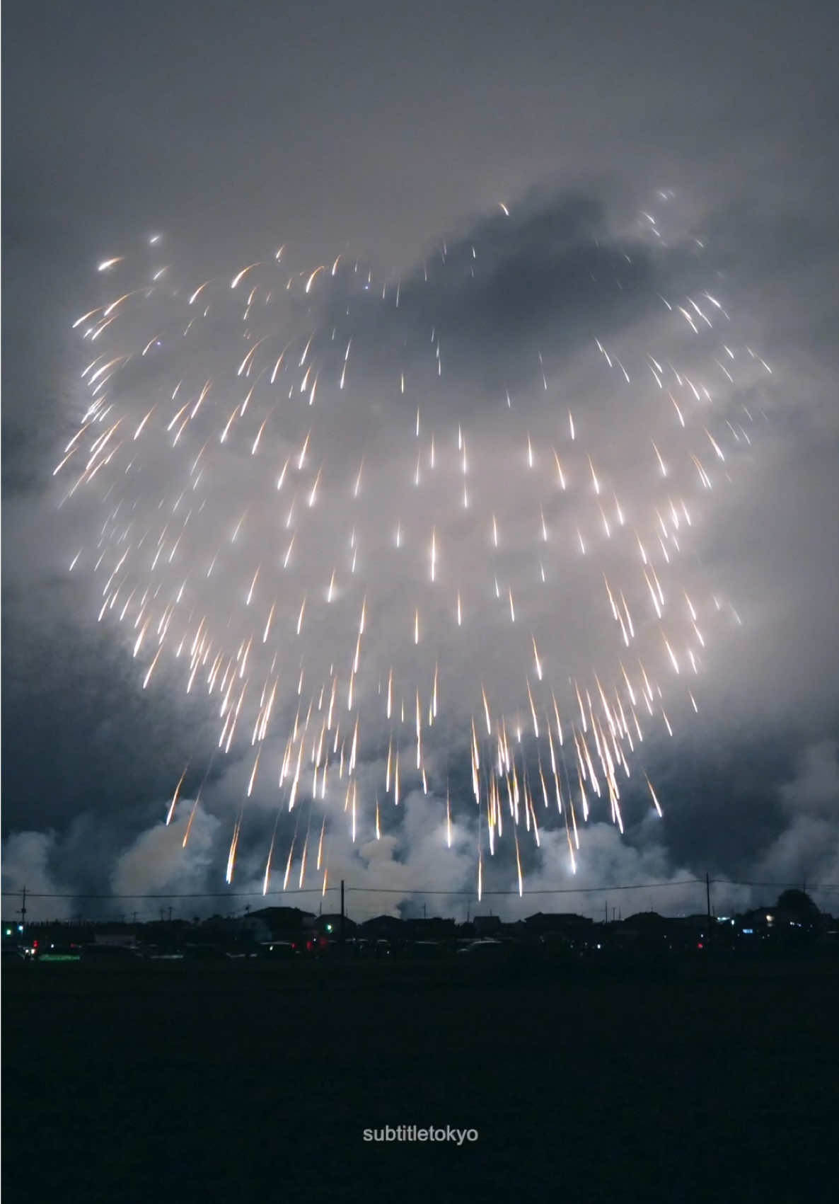 世界一の四尺玉✨🎇🕊️ 初めてみた世界一の四尺玉🧨💥 埼玉の夜空に星が降った日でした☺️💫✨ #konosufireworks #코우노스불꽃축제 #こうのす花火大会 #fireworks #불꽃축제         