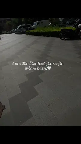 😊🤍#ฟิดดดシ #สตอรี่ความรู้สึก #สตอรี่รัก #แท็กบอกความรู้สึก #ยืมลงสตอรีได้น้าาา🕊💗 