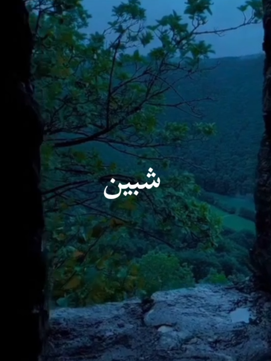 بداعتكم استاهل اني محمد الرحال #محمد_الرحال #Sing_Oldies #طربيات_الزمن_الجميل_🎼🎶🎻♥️🌹 #فيديوهاتي_تصاميمي🎶🎬 #هواجيس 