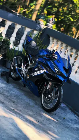 🤩 #zx25r 