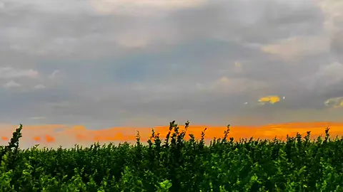 #تصويري_احترافي_الاجواء👌🏻🕊😴 #اكسبلور #fyp #اجواء،رائعه #بويه_هاذا_الزمن_قاسي_حشم_جيوشه_عليه 