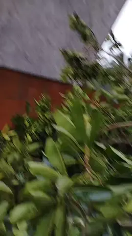 #tiktoklive #livehighlights