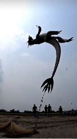 Đây là con rồng đã bị lũ cuốn trôi vào vũng bùn mà video trước tôi đăng Đã về trời và đây là con giống AI nha mọi người ha ha ha ha