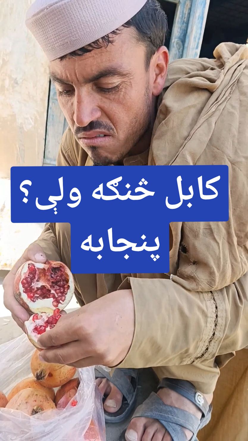 برکت شینواری ورشیرکړئ #viral_video #2025 #pleez_tiktok_viral_video_pleez_foryo 