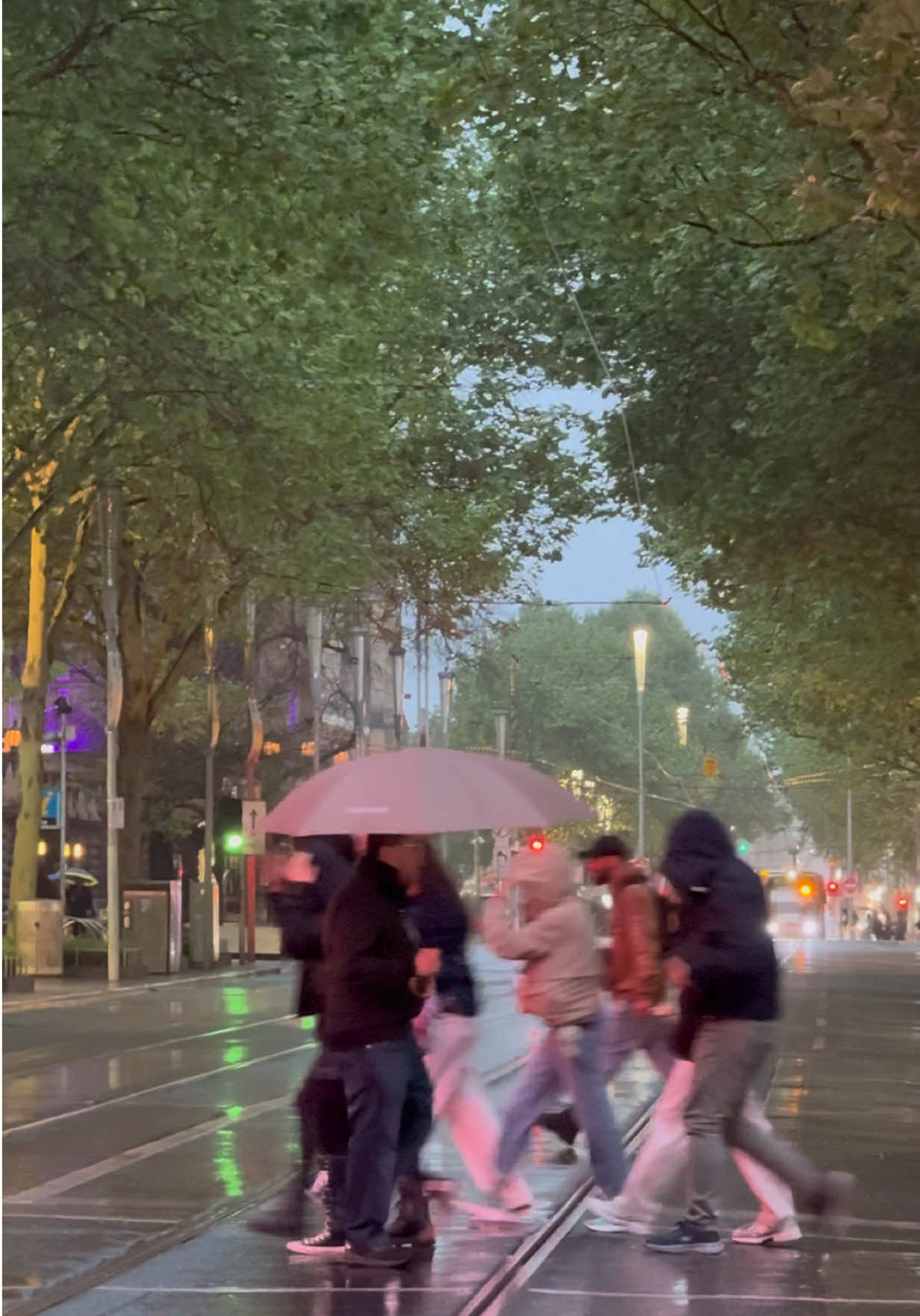 مازلنا في اجواء الشتوية والامطار 😍 #fyp #fyppppppppppppppppppppppp #مبتعثين_استراليا #viral #foryou  Melbourne @What's On Melbourne 