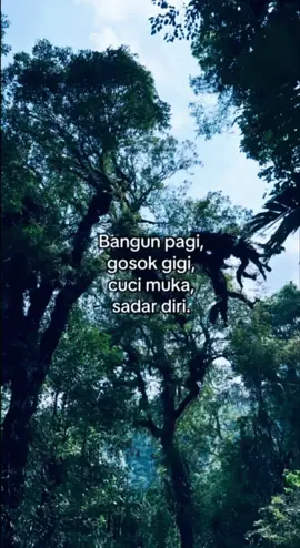 🤪#fyp 