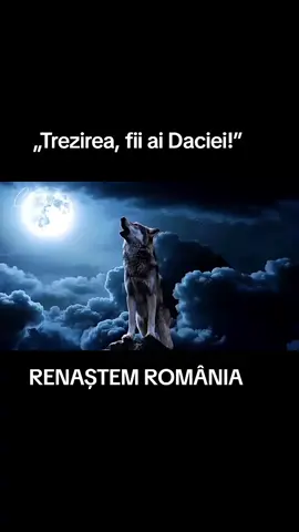 #romania #foryoupage❤️❤️ #foryouforyou #creatorsearchinsights 