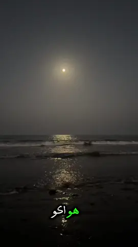 هّوٌ آکْوٌ آلََلََهّّ وٌٌآنِِيََ آضيََعٌٌ #آلَشُيَخِ_عٌلَيَ_آلَمًيَآحًيَ #آکْسِبًلَوٌرexplore #لايك❤️😘تعليق💬حلو #مالي_خلق_احط_هاشتاقات #لايك_متابعه_حركة_الاكسبلور❤🦋 