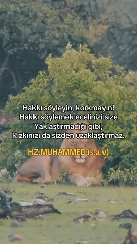 #hzmuhammedsav #fypviralシviral #kesfete #kesfeteyizz #hzmuhammed 