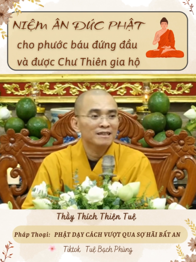 Niệm Ân Đức Phật cho phước báu đứng đầu và được Chư Thiên hộ. Thầy Thích Thiện Tuệ giảng. #phatphapnhiemmau #phatphap #nghephapmoingay #thichthientue #tuebachphung 