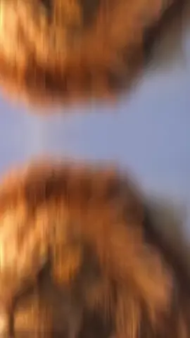 #CapCut #furyoupege #somalitiktok #@CUNSURI M.CAMAL🦅☠️ #@KIIN ARAGSAN📿✅ #@BOODHARI 🏩💊💉 #@Cabdale hiilwalal🇸🇴🫡 