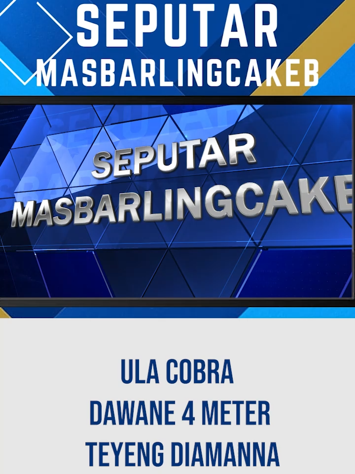 TIKTOK ULA COBRA DAWANE 4 METER TEYENG DIAMANNA#foryoupagе #bmstv #fypviralシ #trending #tiktok #masukberanda #fyppppppppppppppppppppppp #viral