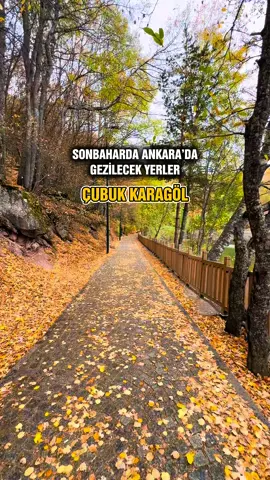 🍂 Ankara’da Sonbahar renklerinin en yoğun görüldüğü 7 lokasyon 📍 ÇUBUK KARAGÖL Çubuk Karagöl Ankara’nın en eski gollerinden bir tanesidir krater gölüdür. Sonbaharda ve ilkbaharda muhteşem görünür. İçerisinde sosyal tesisi olan kafe mevcut. Burada uygun fiyatlı kahvaltı yapabilir ya da kendi götürdüğünüz malzemelerinizle piknik yapabilirsiniz. 📍 BOTANİK PARKI Atakule’nin yanındaki bu park Ankara’nın en güzel parklarından bir tanesi. Göl kenarındaki banklarda oturup piknik yapabilir, yada kafelerden kahvenizi alıp keyifli vakit geçirebilirsiniz. 📍 PORTAKAL ÇİÇEĞİ PARKI Şehir merkezinde sıradan bir park ama sonbaharda burası bambaşka oluyor. 📍 DİKMEN VADİSİ Dikmen Vadisi sadece Sakura çiçekleri ile meşhur değil sonbaharda çok güzeldir. 📍 ALTINPARK Sonabarda parkın tamamı rengarenk oluyor. İçerisinde kafeler mevcut. Otopark mevcut. 📍 MİLLİ BOTANİK PARKI İlkbaharda ve sonbaharda muhteşem duygun renklere sahip olan bir park. Ankara’nın en temiz parkında diyebiliriz. İçerisinde kafe mevcut kahvaltınızı yapabilir ya da göl kıyısında kahvenizi içebilirsiniz 📍 EYMİR GÖLÜ Göl çevresinde bisiklet sürebilir yürüyüş yapabilir ve göl kenarındaki restoranlarda yemek veya kahve keyfi yapabilirsiniz