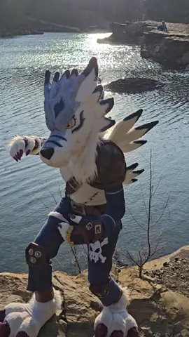 Ein Sound der sofort an die Kindheit erinnert. 😊 #Weregarurumon #digimon #digimoncosplay #weregarurumoncosplay 