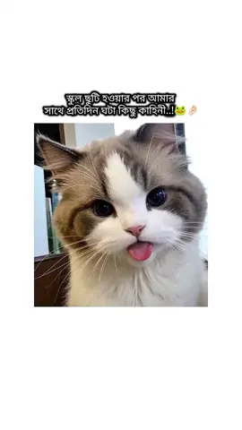 তোমার সাথেও কি এগুলো হয়..?🐸🫶🏻😂 . . . #Foryou #foryourpage #funnyvideos #relatable #foryoupageofficiall 