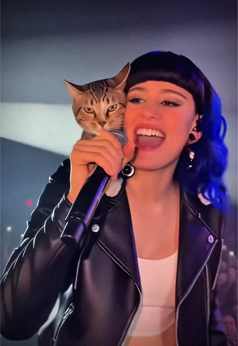 Cat on stage   #funny #catvideos #singingcat 