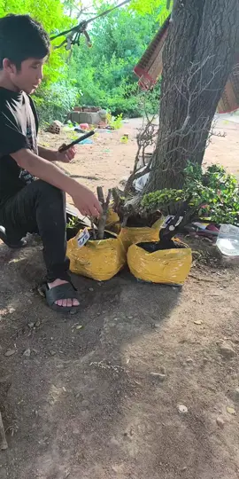 #tiktoklive #livehighlights 