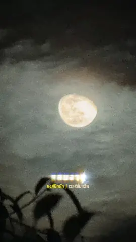 #CapCut #สตอรี่_ความรู้สึก🙂🥀🌖 #เพลง 