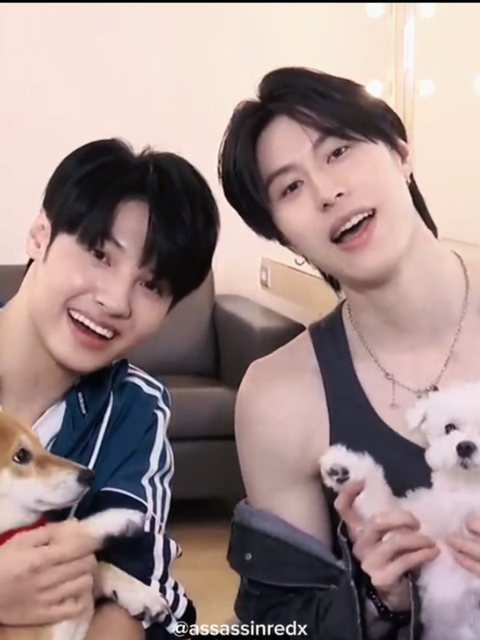 aku aku jadi ingat salah satu komen pecinta anjing bilang kalau reaksi Jessi sama Dopee yang keliatan comfortable itu nunjukin kedekatan Chance Guno, iyalah orang mereka sering jalan ajakin Jessie sama Dopee. Keluarga bahagia🥺🤍 #secretlover #chengxi #wangjyunhao #taiwanbl #bl 
