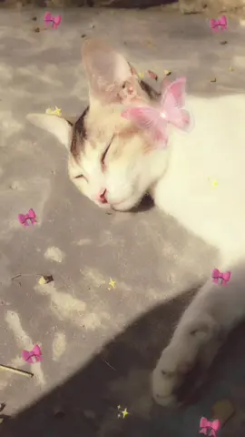 kemon😗🌷#foryou #foryou #plzunfrezemyaccount #viral #viral 