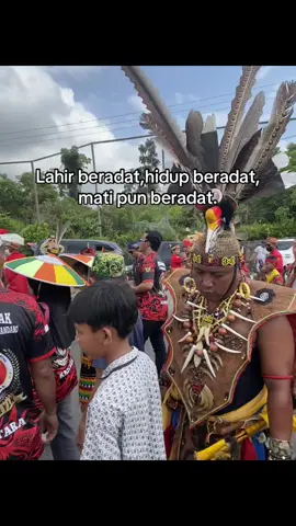 Priuuuu ujang teguh#dayak #pasukanmerah #kalimantan #tarakan 