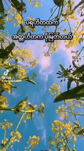 အတ္ထာဟိ အတ္တနော နာထော