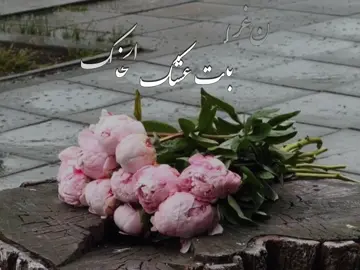 #خديجة_علي #هجرك_مسافه #حيدر_الفريجي #من_غربلت_عشگ_الخلگ_اتساقطو_مثل_الورگ 