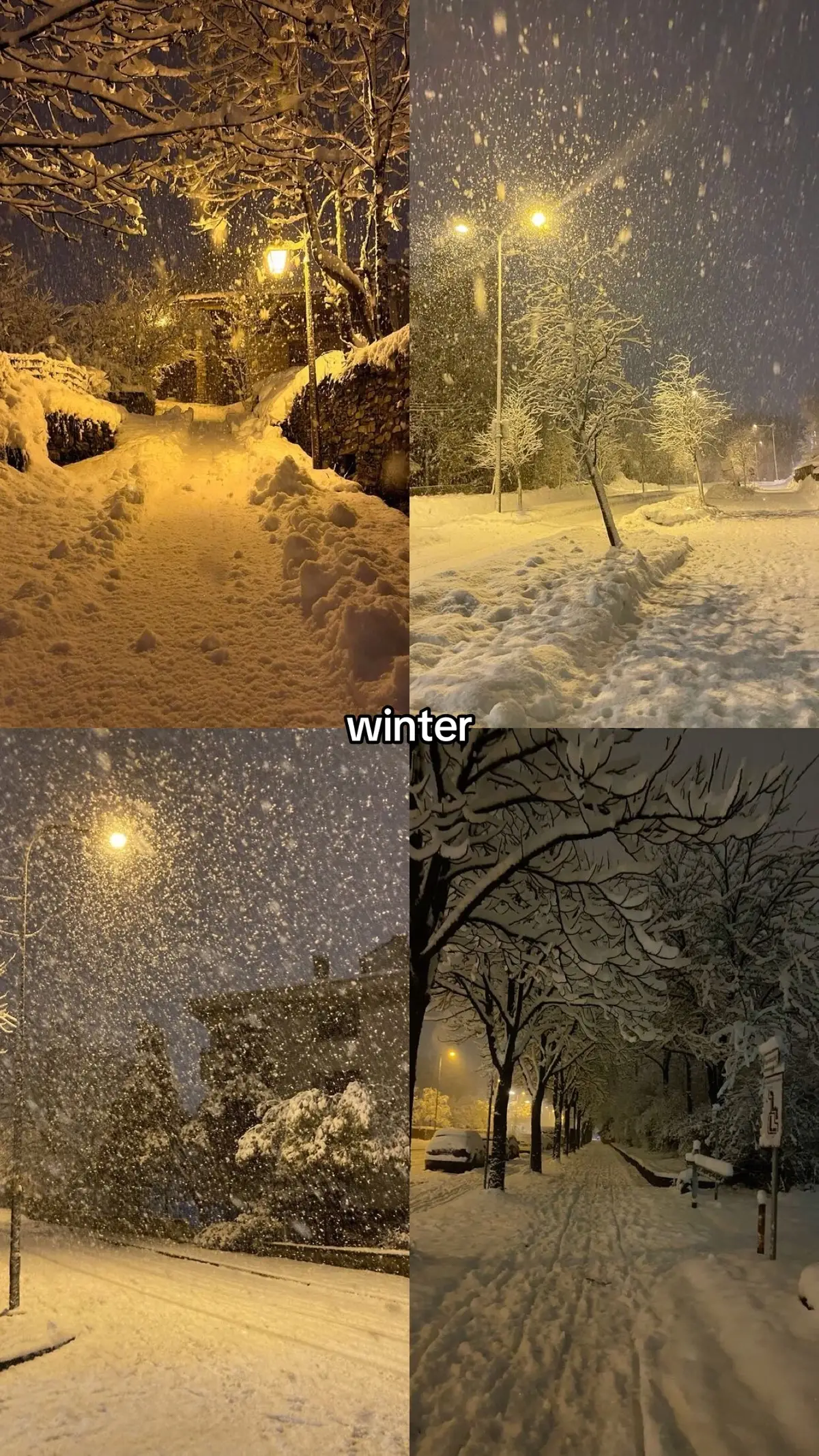 #winter #recommendations #rec
