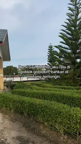 Karena diam aja salah, apalagi ngelawan 😅#sawitkalimantan🌴🌴🇮🇩 #fypppppppppppppppppppppppp #kerani #kulisawit 