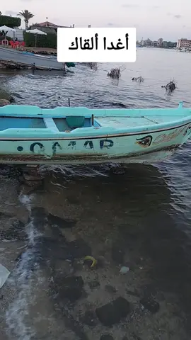 أغدا ألقاك .. أم كلثوم #فايق_القط #ترندات_تيك_توك #مشاهدات #طرب #مصر_العراق_السعودية_تونس_المغرب_الجزائر 