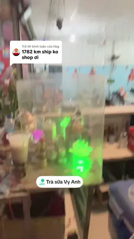Trả lời @hbg #vyanh #vyanhchínhchủ #trasuavyanh #tiktoklive #tiktoklive 