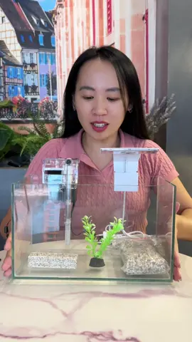 Bể cá mini để bàn #xuhuong #ngocminhminh89 #beca #becamini #becaminideban 