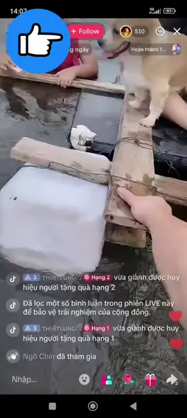 Hình ảnh lũ lụt ở HN #xuhuong #hashtag 