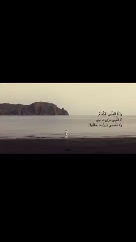 قناة التلي بلبايو ♥️. #fyp #foryou #Love 