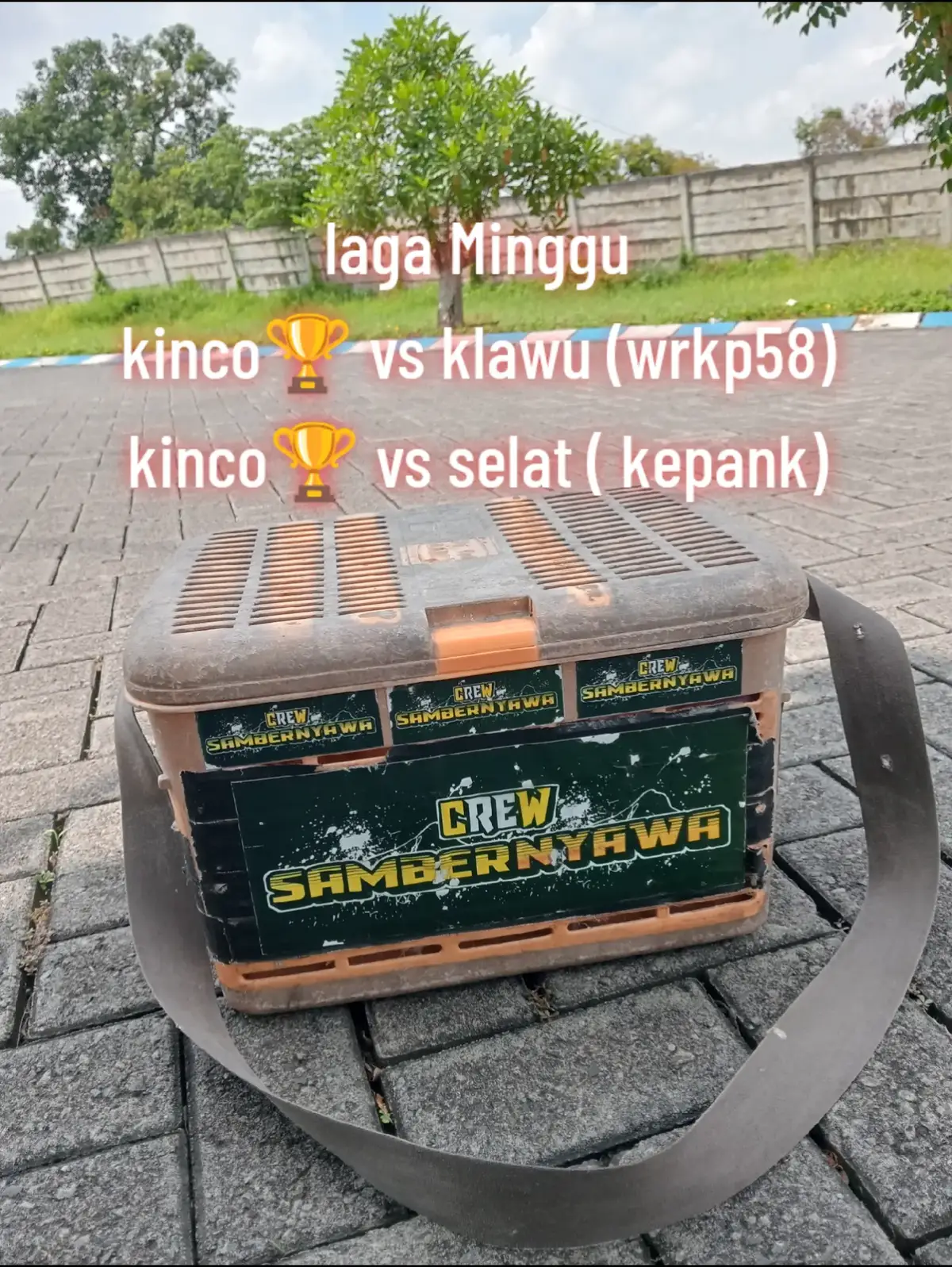 #bismillahfypシ #merpatigresik #merpatikentonggresik #merpatigresik #adhapasor😇 